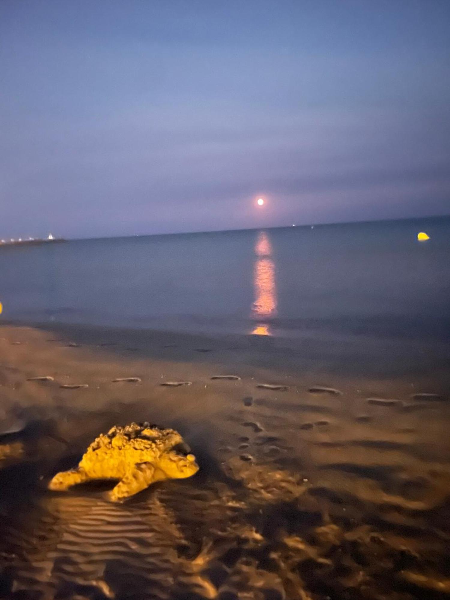 Vrasland Ter 70 M De La Plage 6 Couchages Narbonne-Plage Kültér fotó